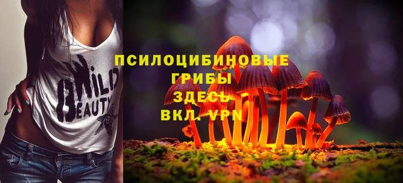 Галлюциногенные грибы Magic Shrooms  Зарайск 